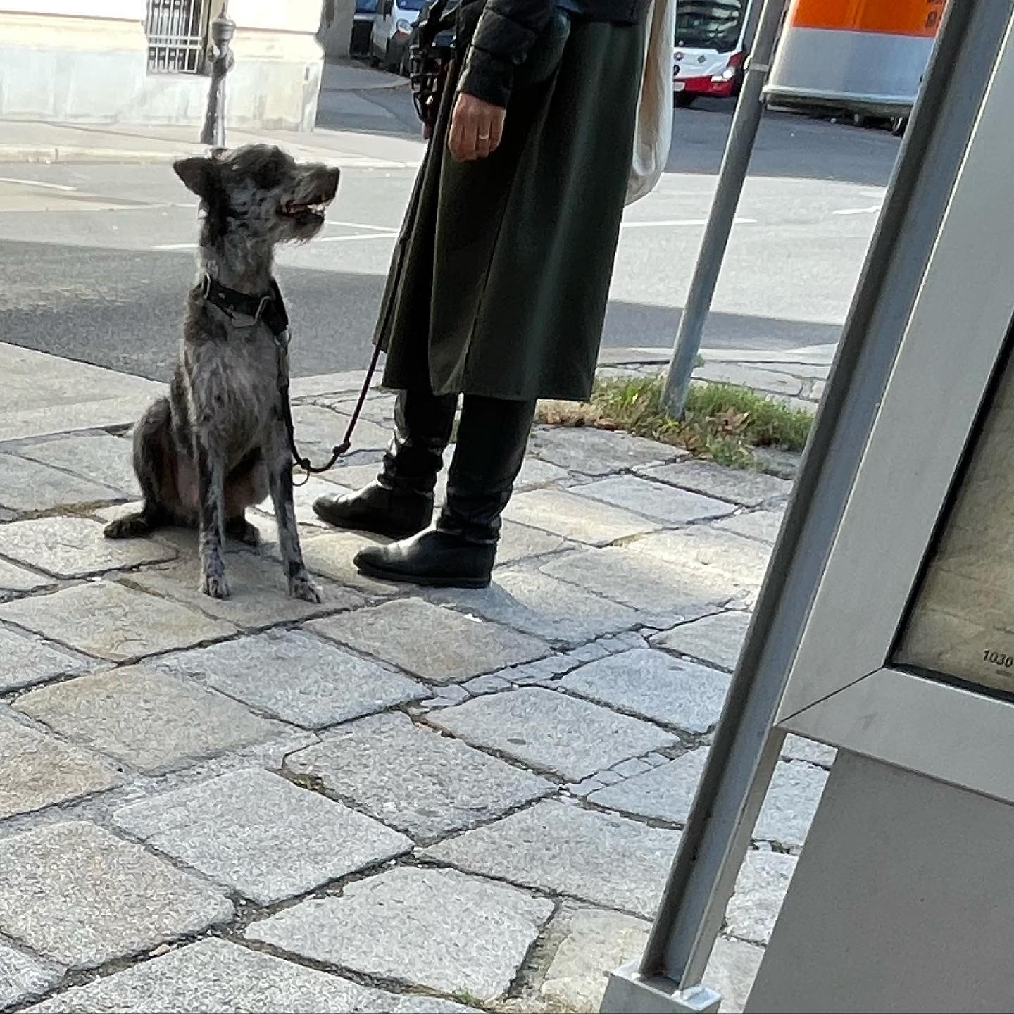 Random image