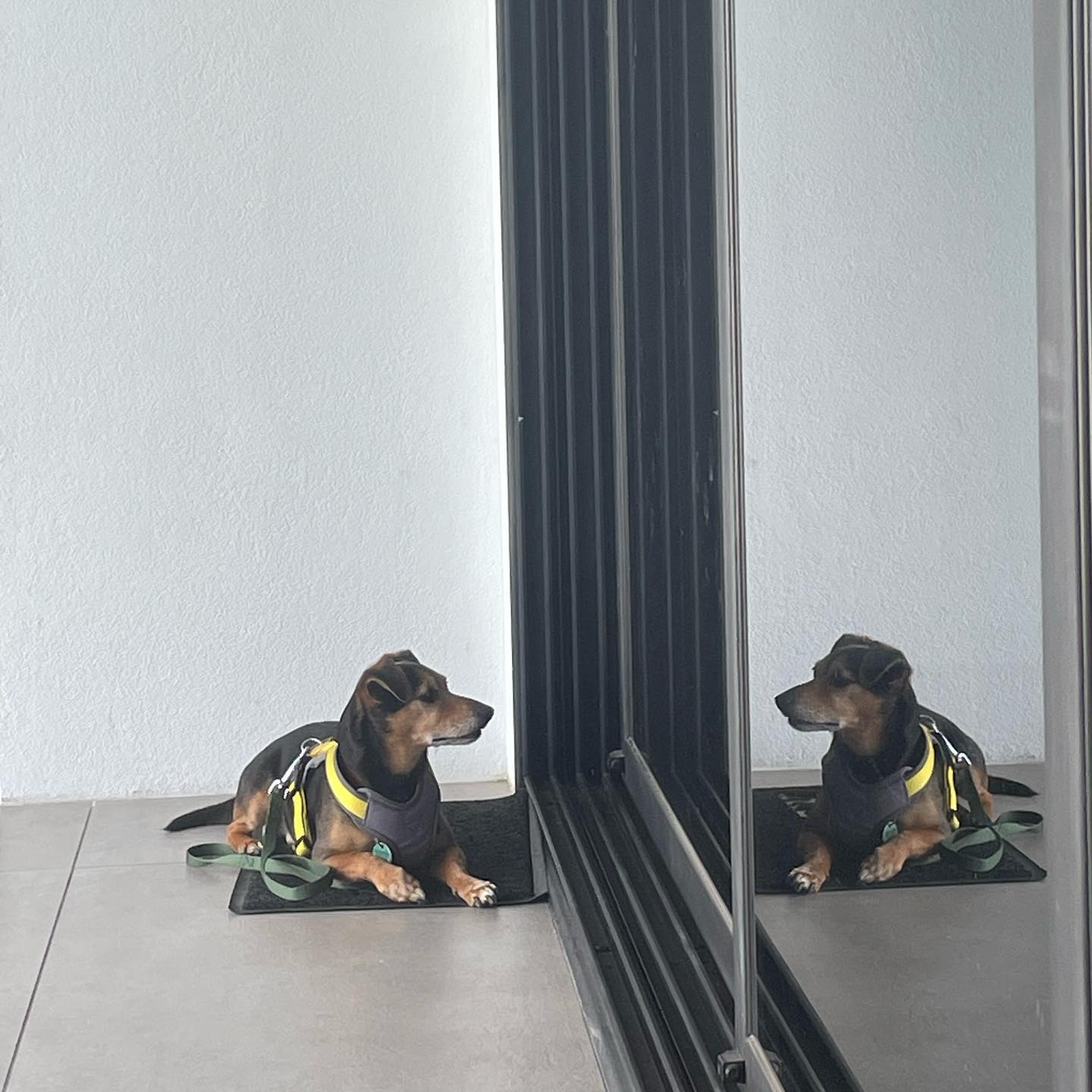 Random image