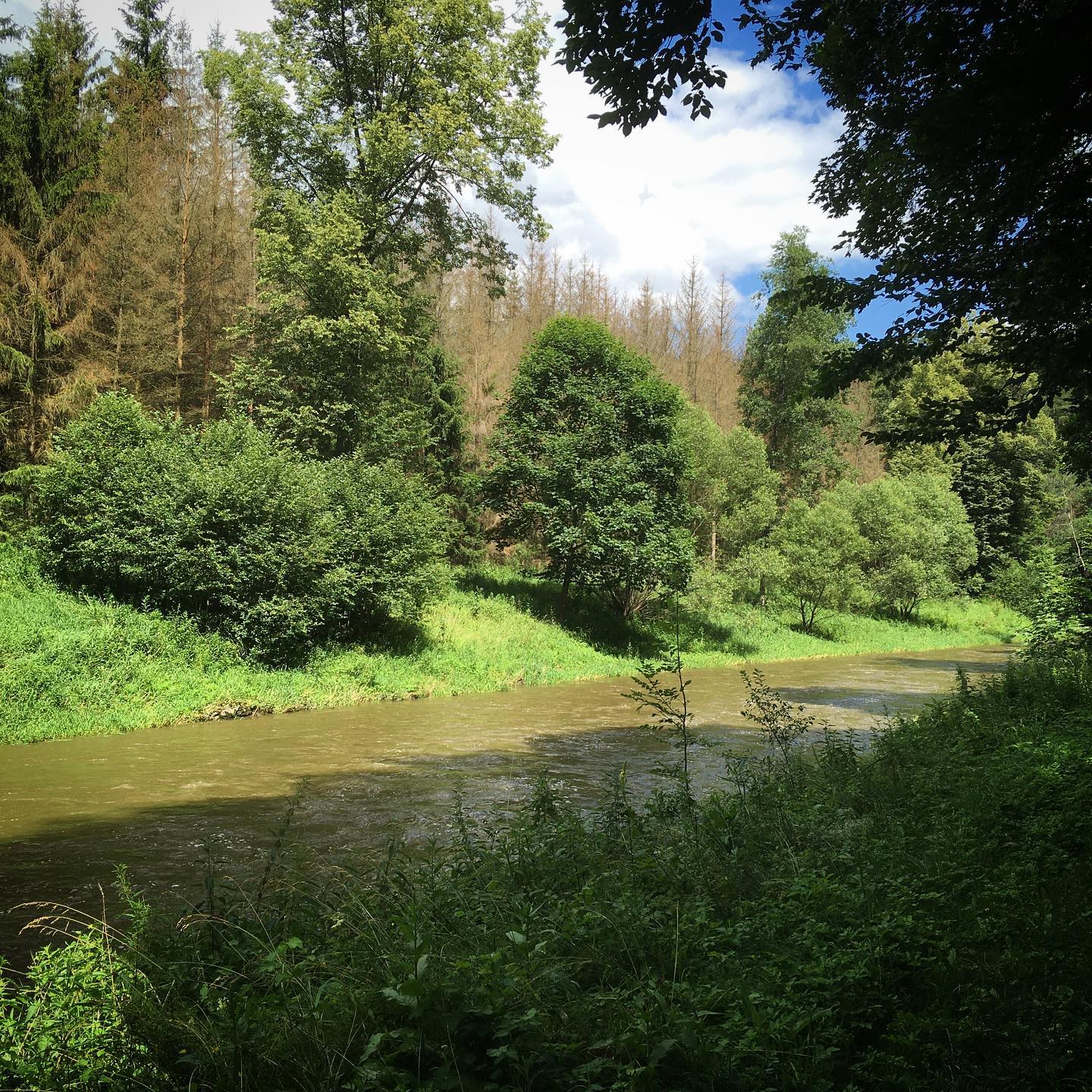 Random image